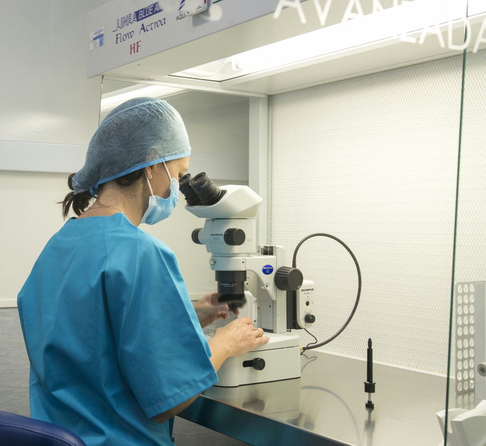 Embriólogos Aluz observando un embrión al microscopio