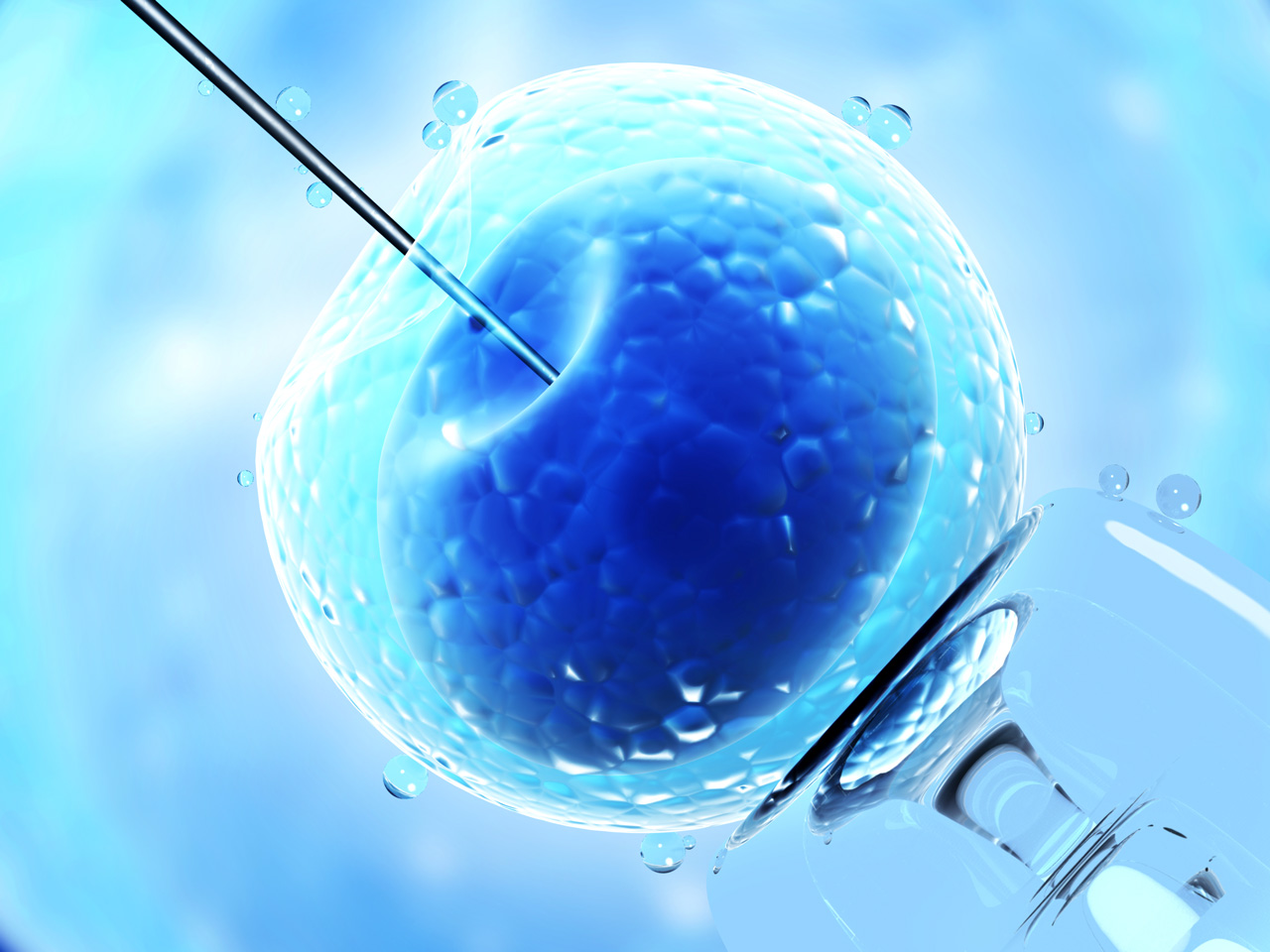 Fecundación in vitro Clínica de Fertilidad Aluz