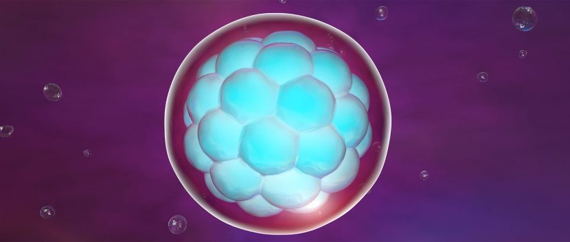 música electrónica y fecundación in vitro - embriones- portada